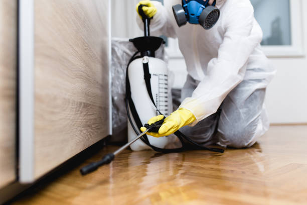 Wildlife Control Services in South Miami, FL