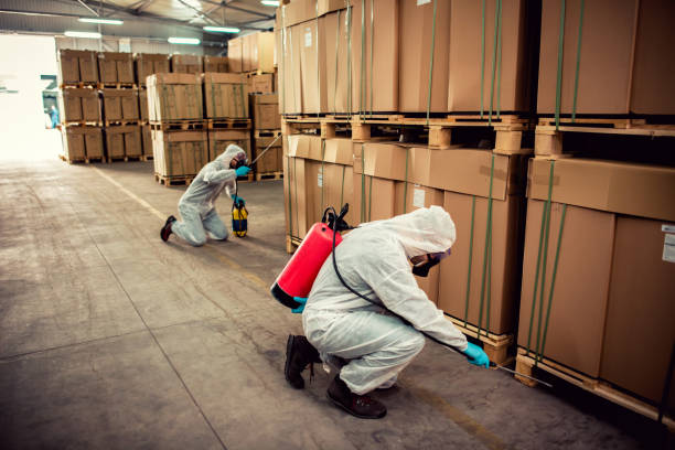 Best Bed Bug Extermination  in South Miami, FL