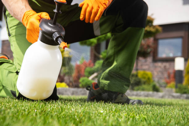 Best Pest Prevention Services  in South Miami, FL