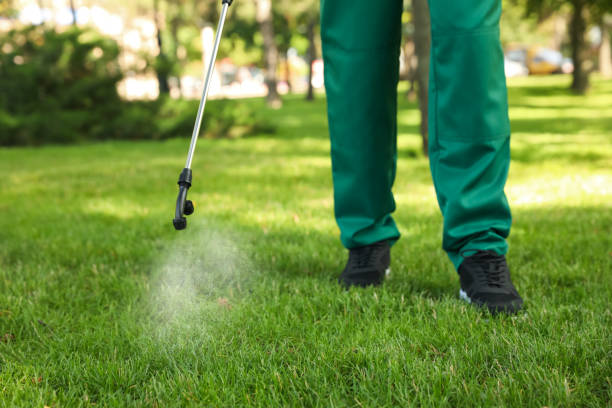 South Miami, FL Pest Control Company