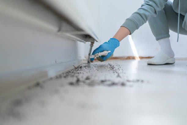 Best Pest Control Near Me  in South Miami, FL